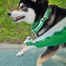 (주)한윌 이미지