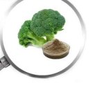 설포라판 효능 부작용 어떤 도움을 줄까 이미지