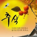 용정축구공원 이미지