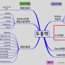두통약 성분 정리표 이미지