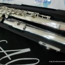 플루트(1년) 이미지