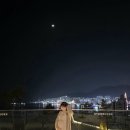 만연홀 | [32주 임산부 여수 태교여행 2일차] 여수 웨이팅 맛집 투어, 감성 카페 추천 힐링여행