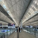 614 | 홍콩익스프레스 UO614편 후기(홍콩공항 디즈니스토어, 옥스퍼드카드 환불)