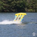 피시랜드 이미지