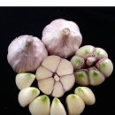 홍산농장 이미지