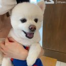 도란도란동물병원