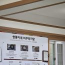 쌍둥이네미꾸라지탕 이미지