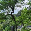 감성목장 이미지