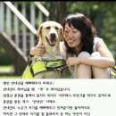맹인 안내견은 만지면 안돼요! +++ 추가 (만질 수 있을때) 이미지