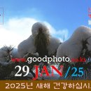 사진영상 [0129&#39;25] 2025년 새해 건강하십시오 이미지