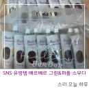 SNS 유명템 베르베르 그린&amp;퍼플 스무디 내돈내산 찐 솔직후기