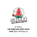 [수.박.바 교육후기] 자연과 놀아요