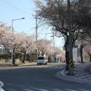 회와 멍게 친구들 이미지