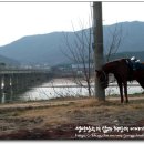 대성장어 이미지