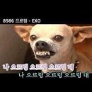 완짱