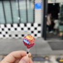 정돈까스 | 포항 대잠동 돈까스, 아이랑 가기 좋은 '가족정' 솔직 후기