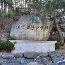 세븐일레븐 태백산광장점 이미지