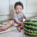 칸타빌레뮤직 이미지