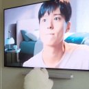 박보검만 편애하는 강아지 ㅋㅋㅋㅋㅋㅋㅋㅋㅋㅋㅋ 이미지