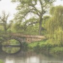 몸의형태 이미지