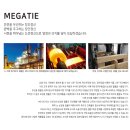 목조주택 구조 강화용 철물 메가타이-Megatie 이미지