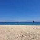 장군카센타 이미지