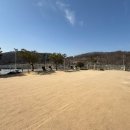 오독오독 반려견유치원 이미지