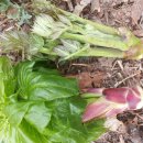 한철농장 이미지