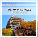 철망산복합시설 | 가을 단풍 전망대 단양 만천하스카이워크 주차 이용꿀팁 총정리