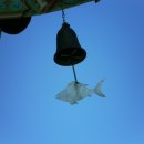 물고기식당 이미지