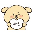 린리듬체조