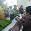 덕수리경로당 이미지