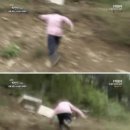에이먼