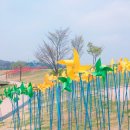 파주 당일치기 여행: 임진각 평화누리공원, 헤이리예술마을, 프로방스, 파주출판도시