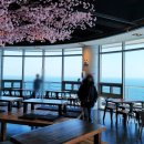 도원축산 이미지