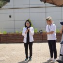 도담도담농장 이미지