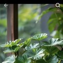 대신행정사 이미지