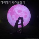 하이엘라 이미지