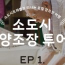신평투어 이미지