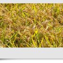 고래산권역마을 이미지