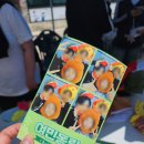 서천여자정보고등학교 이미지
