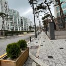 신월동102 이미지