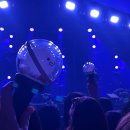 달빛옥탑방 | [GMF] 2025 그랜드 민트 페스티벌 2일차 후기 (2)