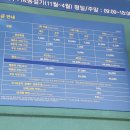 샌디블루 이미지