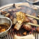돼지집 | 동탄 북광장 맛집 구워주는 제주 근고기 고기집 금돼지집 후기