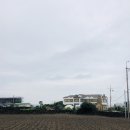 [제주] 애월 곽지해변 정글게스트하우스 1박 조식포함 후기