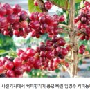 명성 제2농장 이미지