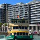 아라메길(4) 짧은 노선 | 시드니 맨리 비치 가는 페리 후기 I 선상 하버뷰·주요 노선 정리