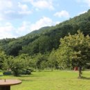 밤나무골화장실 이미지