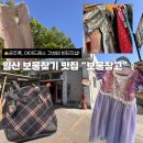 강아지를 미용하는 여자 | 어린이날 선물 고민한다면! 공주룩, 아이드레스부터 각종 빈티지 아이템 천국! 일산“보물창고”